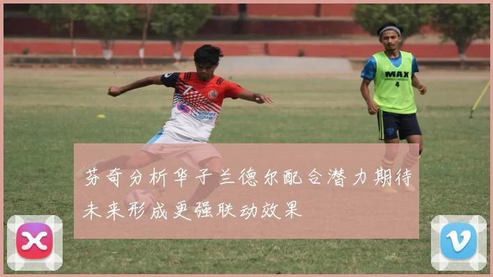 芬奇分析华子兰德尔配合潜力期待未来形成更强联动效果