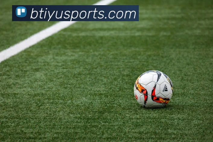 b体育平台生态图