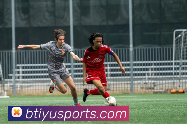 b体育APP 封面图